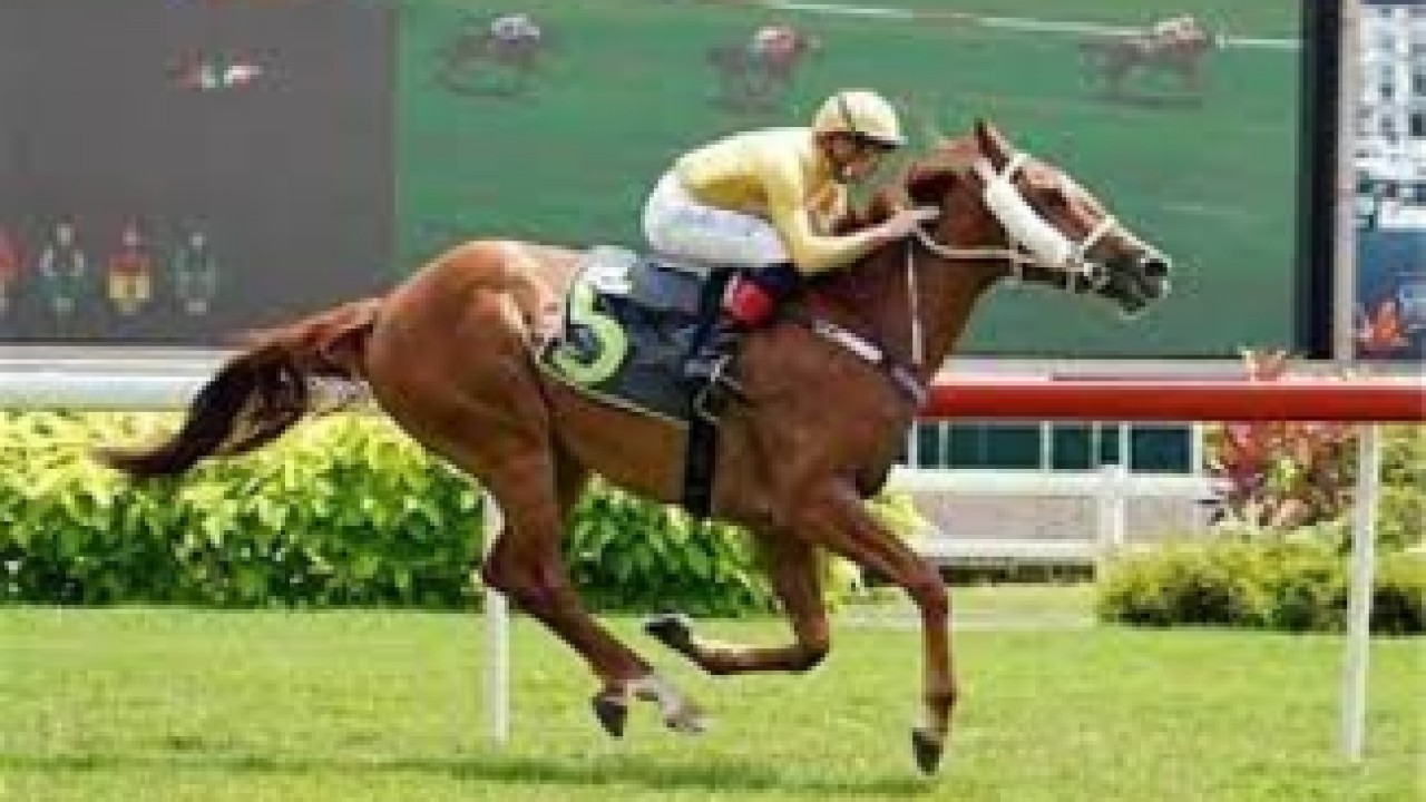 Golden Monkey Secures First Group Win For Singapore Trainer  ... Image 3